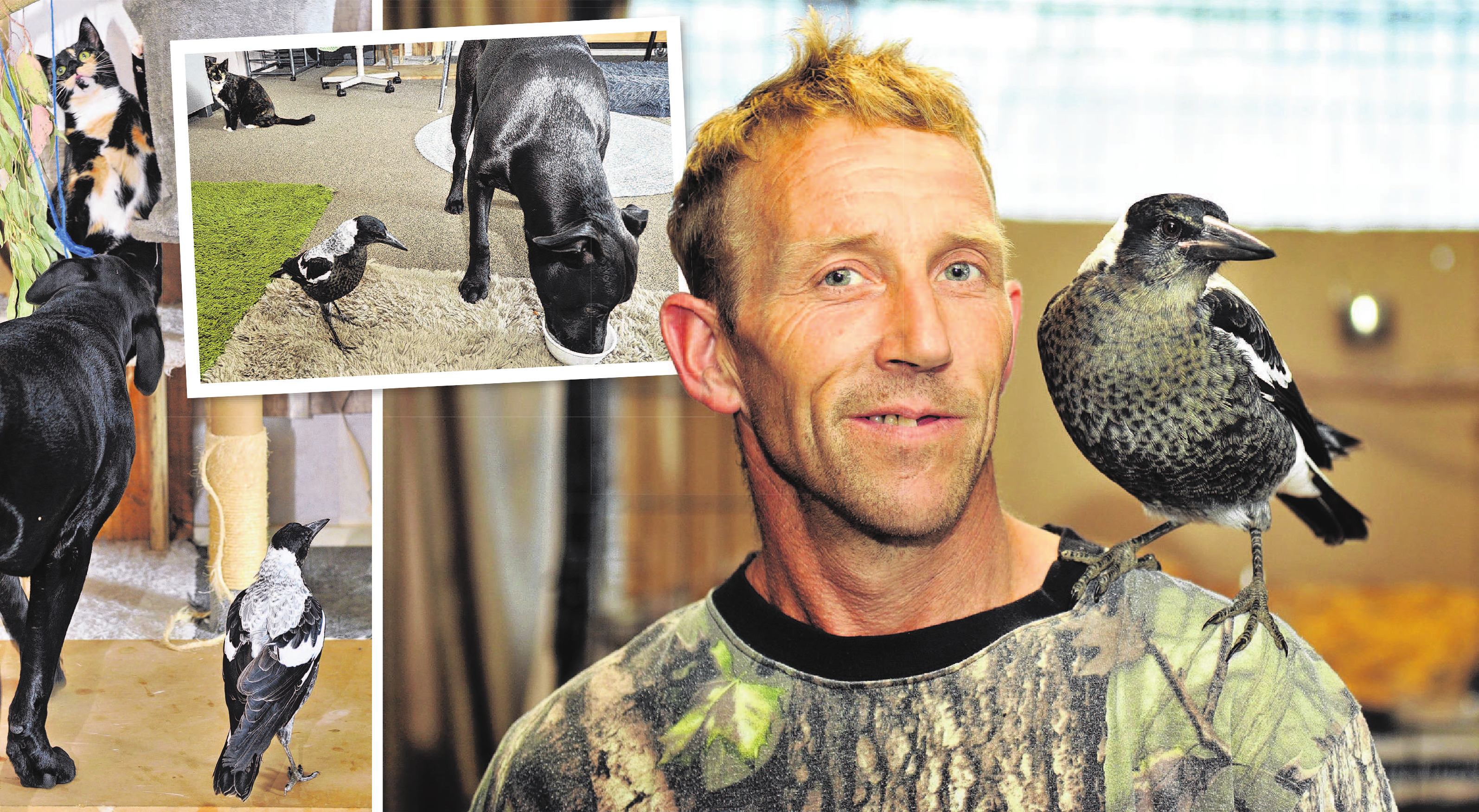 Lance Whyte’s furry and feathered friends live together in his Green Island house. PHOTO:...