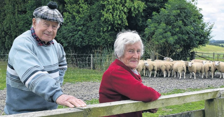 Peter and Marion Black and a flock of Texel lambs with the GDF9 gene. 