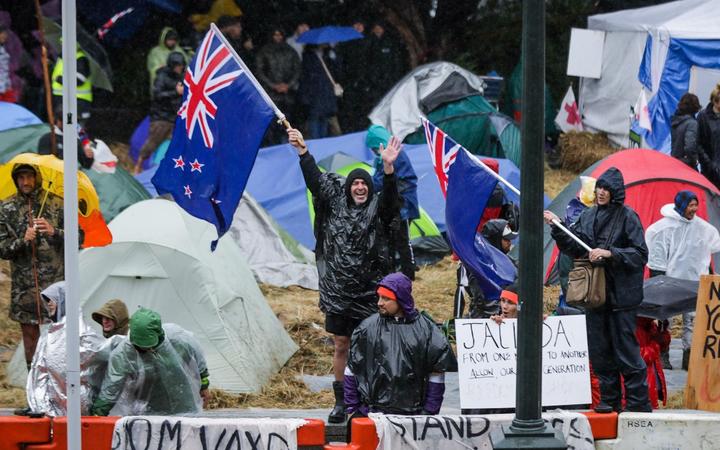 Protesters at Parliament in Wellington. Photo: RNZ 