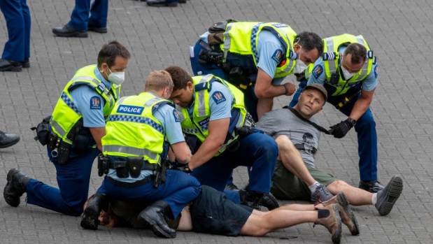 Anti-mandate protesters are arrested outside Parliament yesterday. Photo / Mark Mitchell