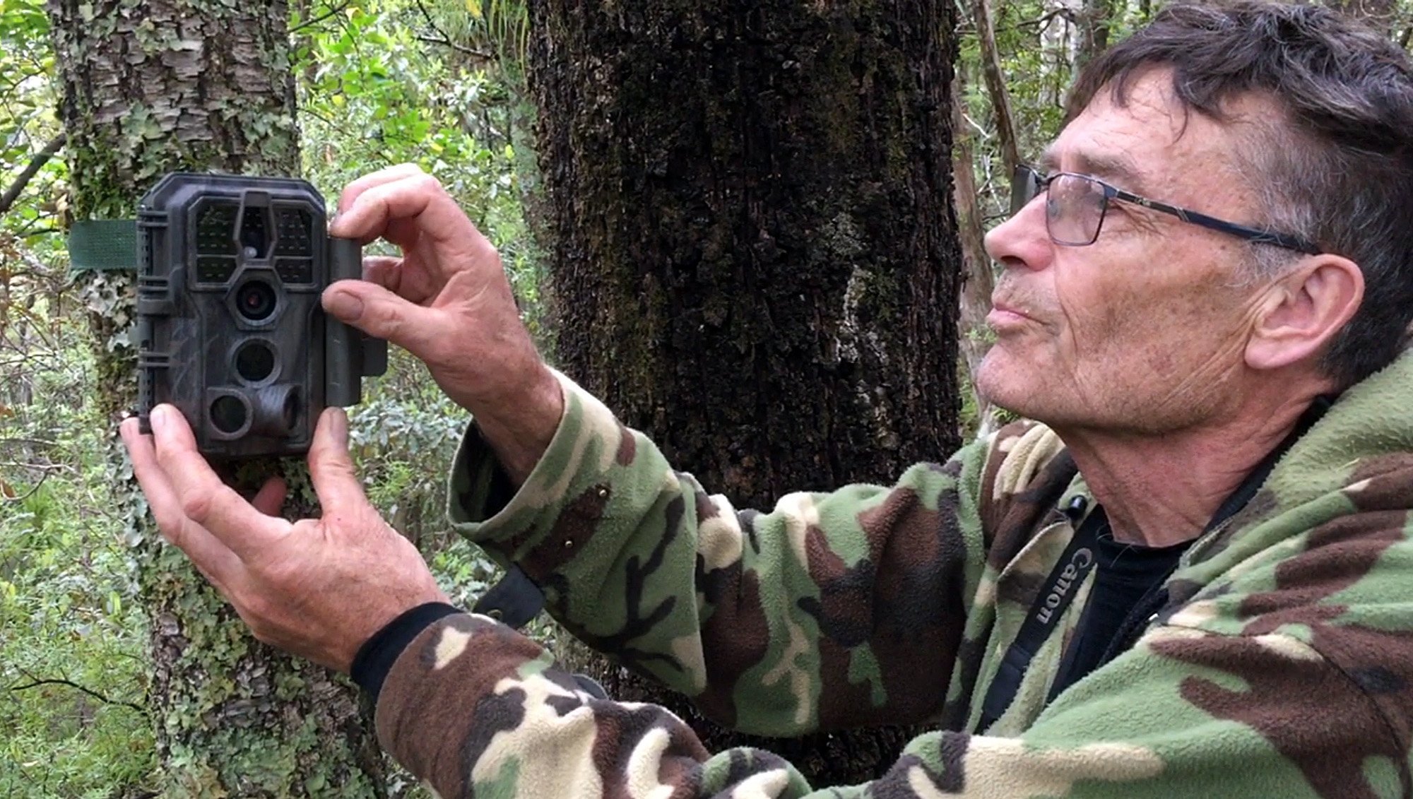 Rhys Buckingham checks one of about 100 multi-directional, motion-activated cameras that have...