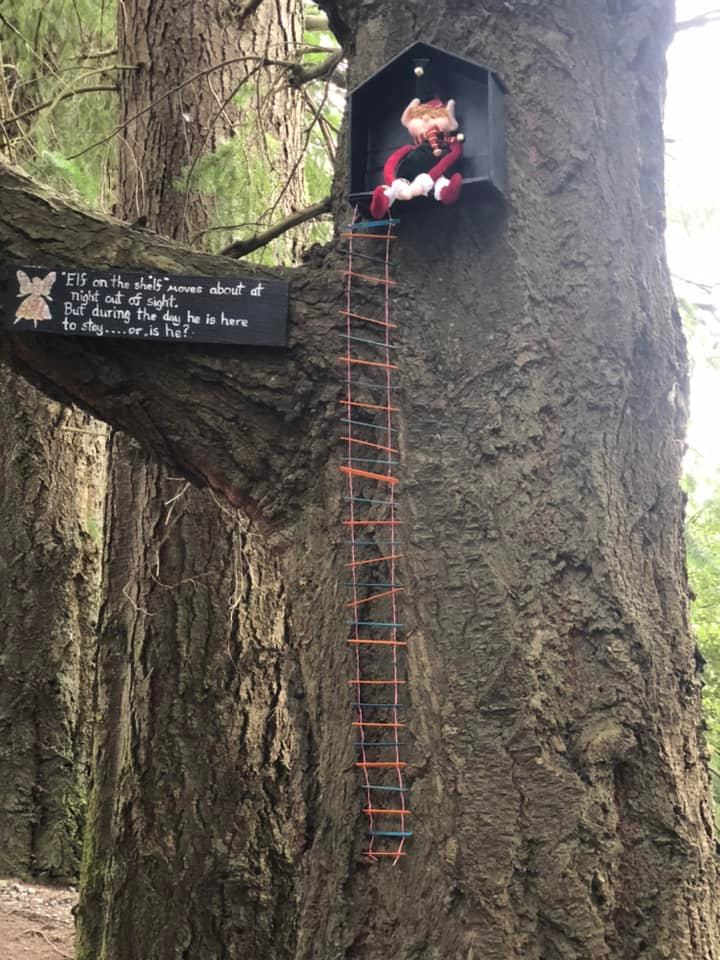 Methven's Enchanted Forest. Photo: Facebook / Sonia McAlpine