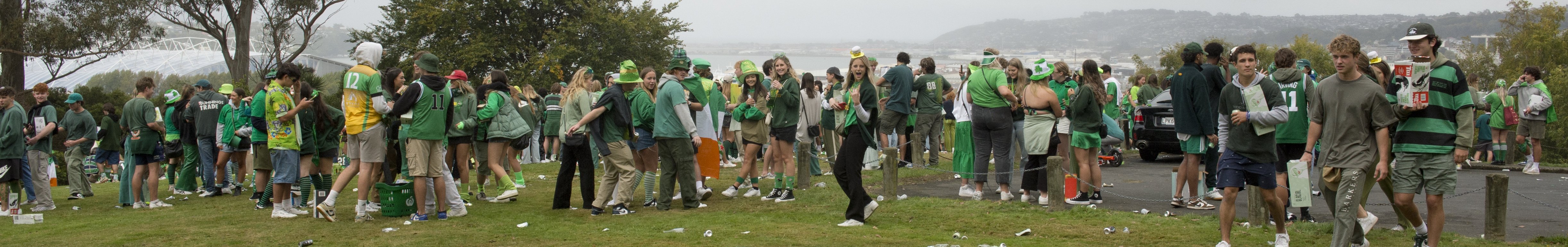 Hundreds of high-spirited St Patrick’s Day revellers party at Brackens View about noon yesterday....