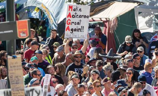 The anti-mandate protesters in Wellington. Photo: Mark Mitchell / NZ Herald