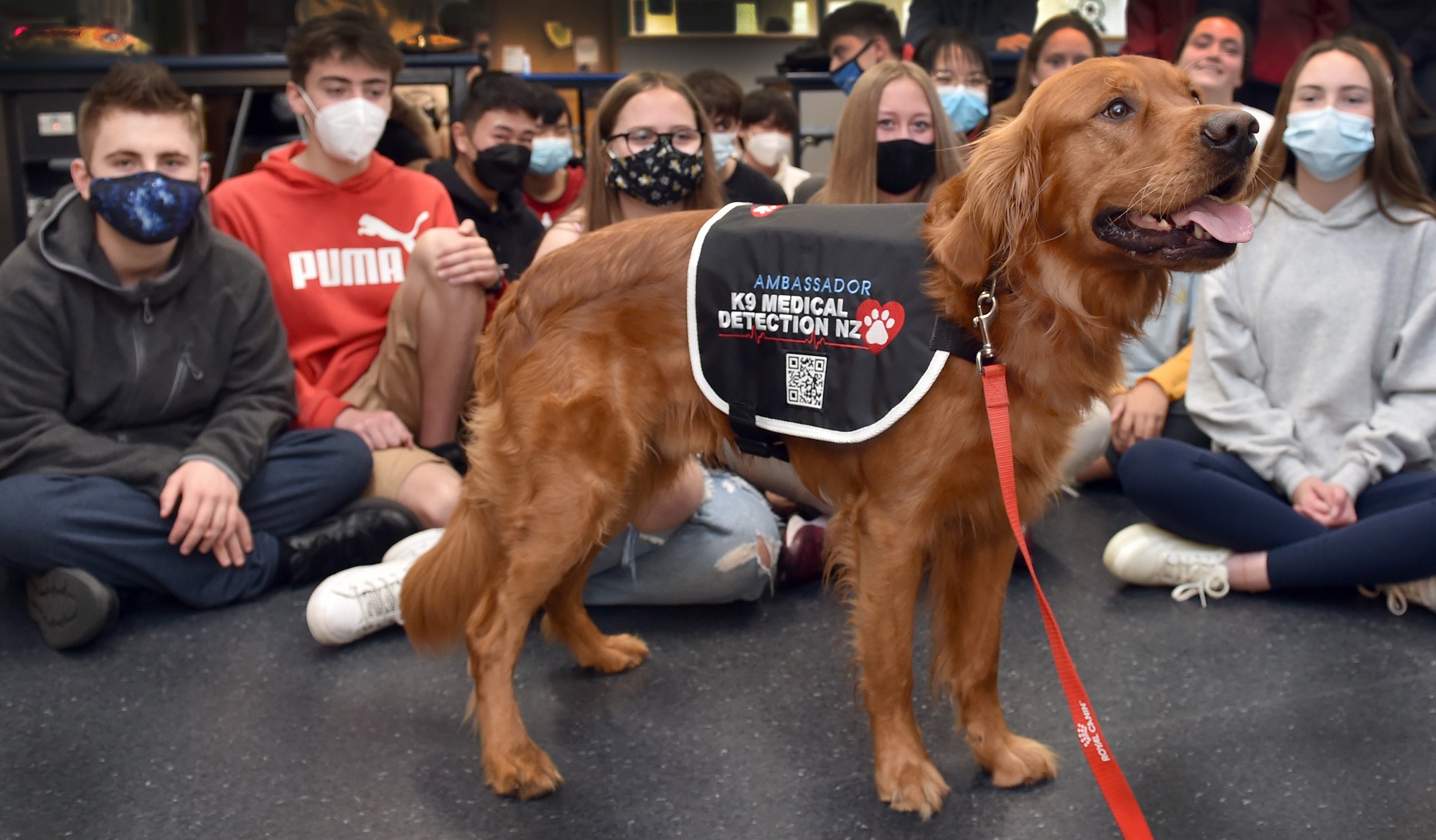 K9 medical detection dog Magic captures the attention of Kavanagh College pupils (from left)...