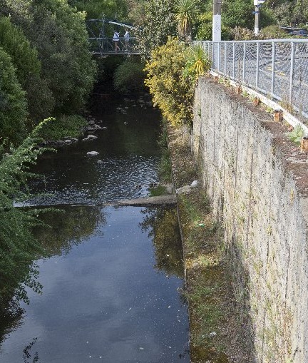 A person fell into the Water of Leith near the intersection of Castle and Duke Sts on Saturday...