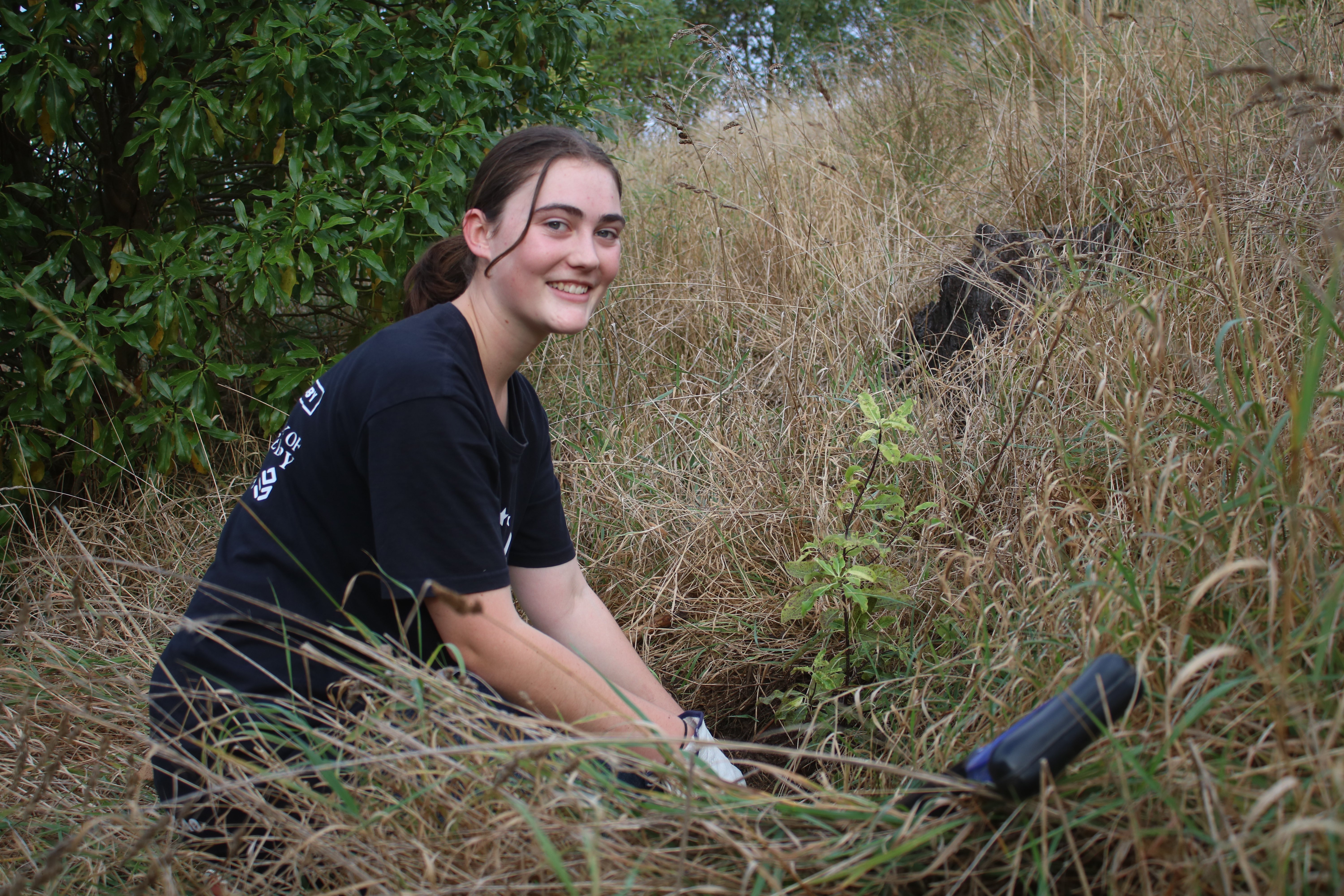 Student Volunteer Army member Francesca Holdcroft, of Canterbury, helps Forest and Bird with...