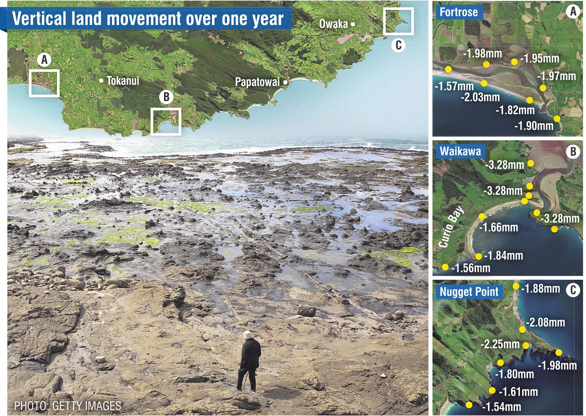 A visitor inspects the site of the petrified forest at Curio Bay in the Catlins.