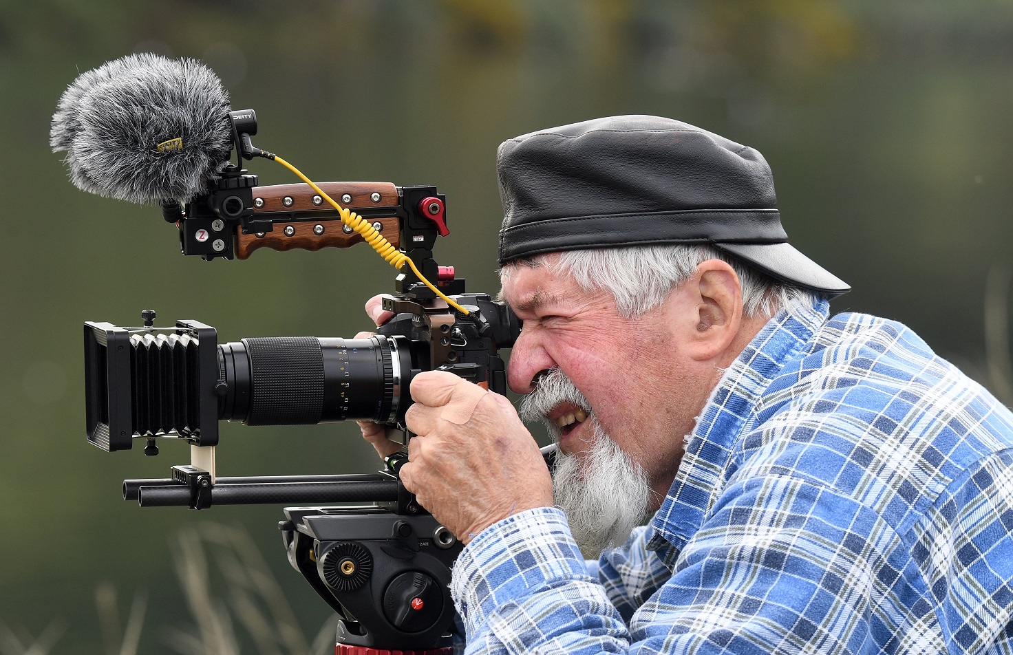 Ian Smith films swans and cygnets which have hatched out of season at Tomahawk Lagoon.