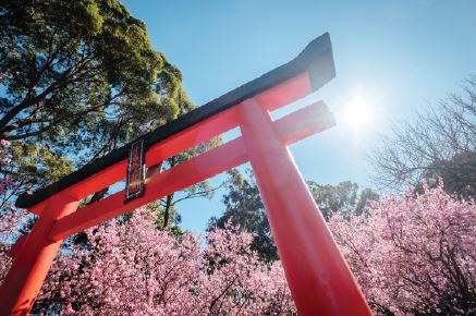 A torii gate is typically found at the entrance to a Shinto shrine. Photo: Getty