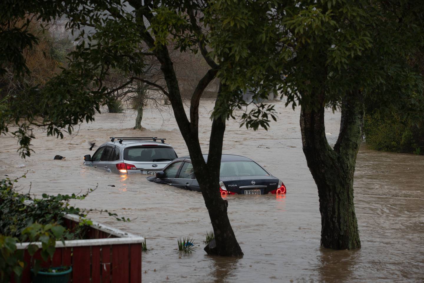 Floods in Nelson after a State of Emergency was declared yesterday. Photo: Tim Cuff