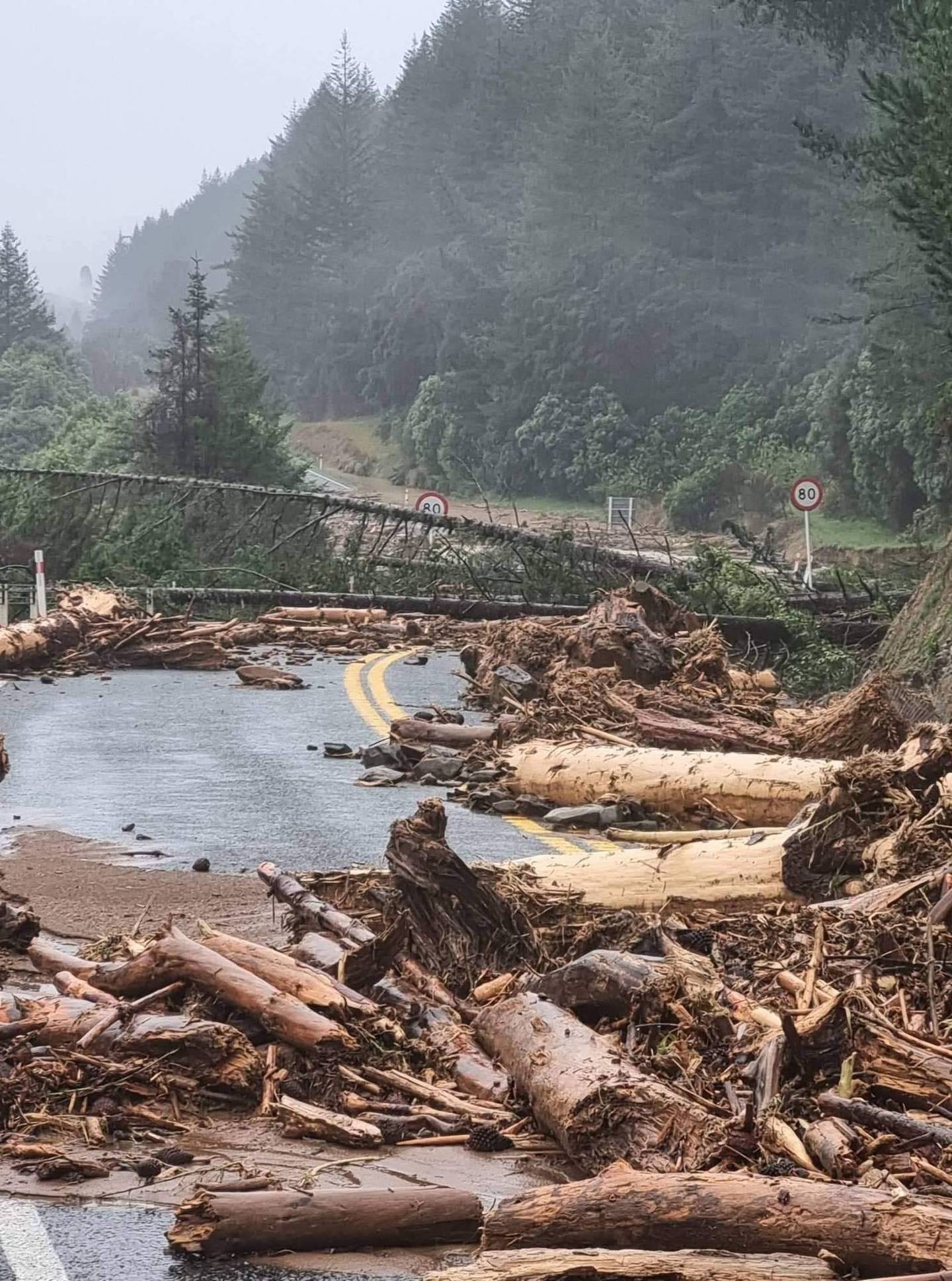 Logs and debris strewn over State Highway 6 between Nelson and Blenheim. Photo: Waka Kotahi