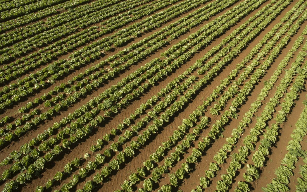 Councils will now have to map and manage areas with fertile soil, protecting the land from being...