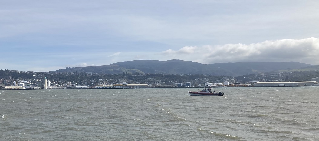 The incident occurred on Otago Harbour near Vauxhall this morning. Photos: Supplied