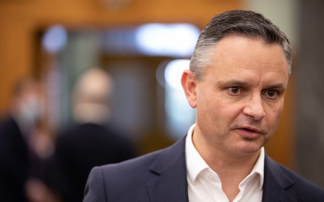 Climate Change Minister James Shaw was abruptly shunted out of the Green Party co-leader role...