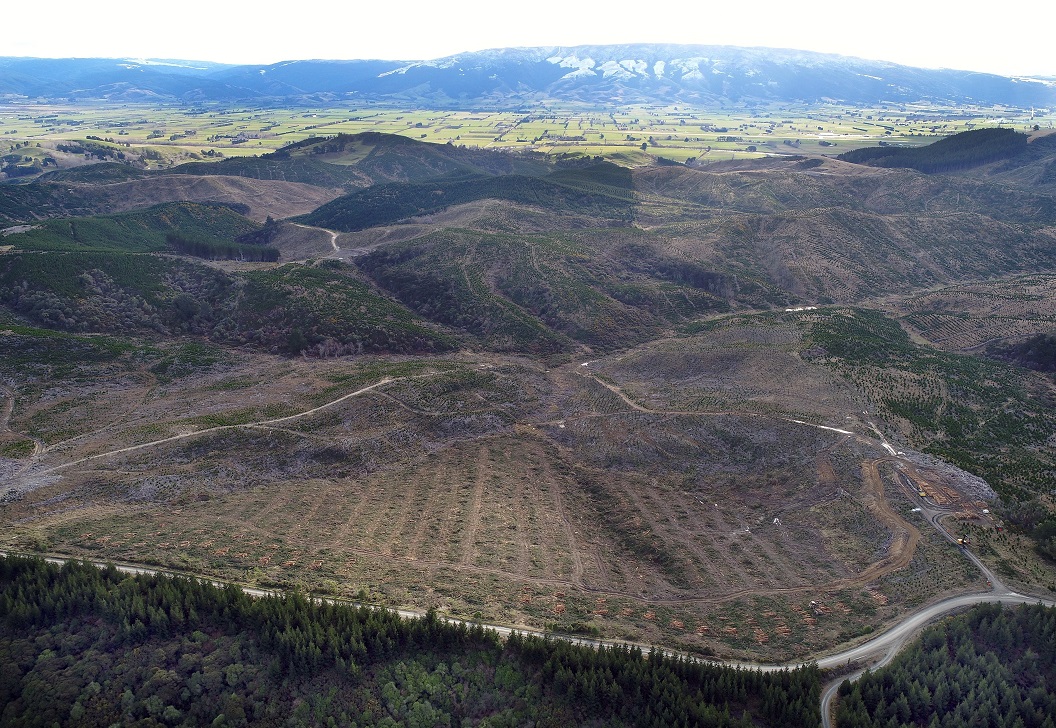 Consent has been granted for a landfill at the Smooth Hill site, south of Dunedin city. Photo:...