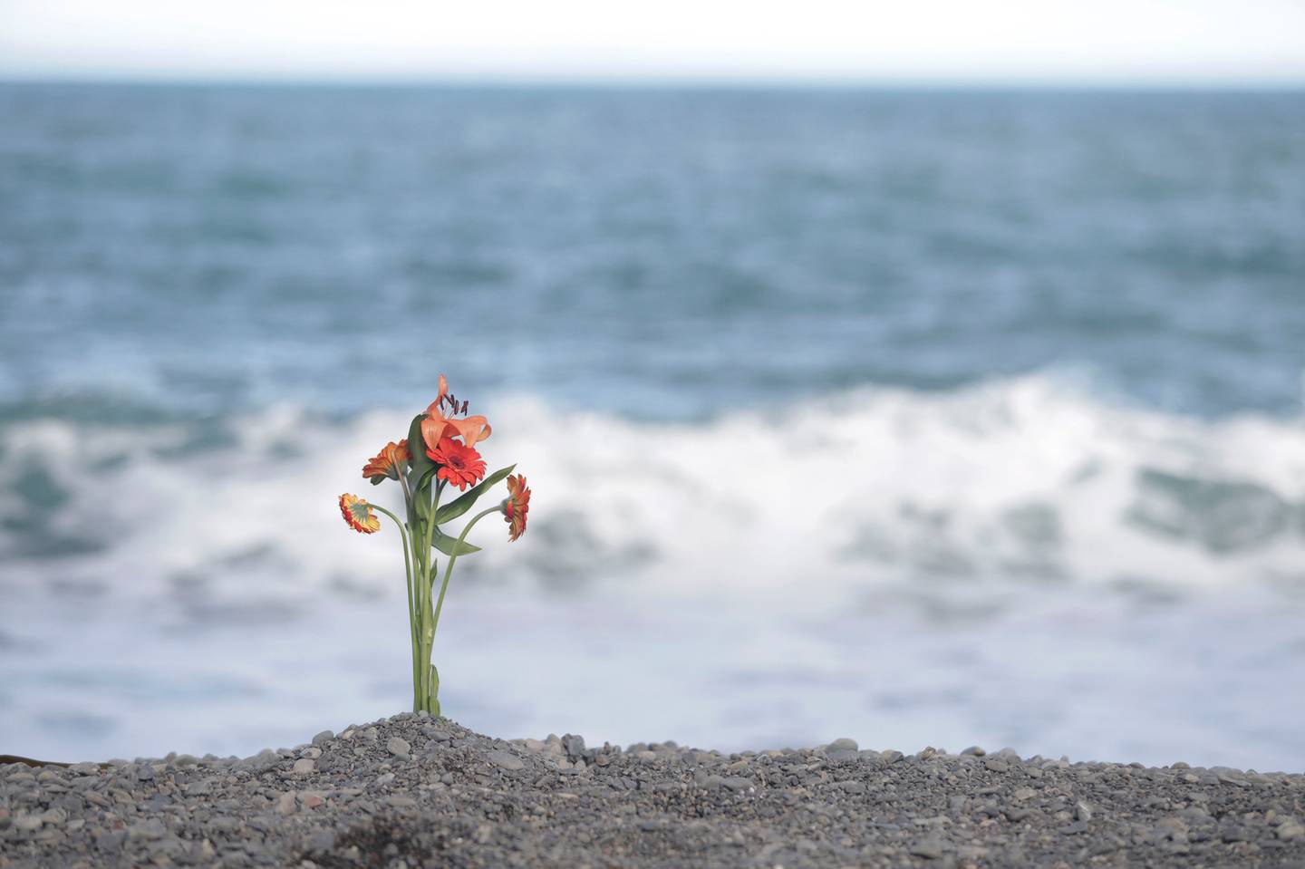 A bouquet of flowers placed on the beach at Goose Bay the day after the accident. Photo: Tim Cuff