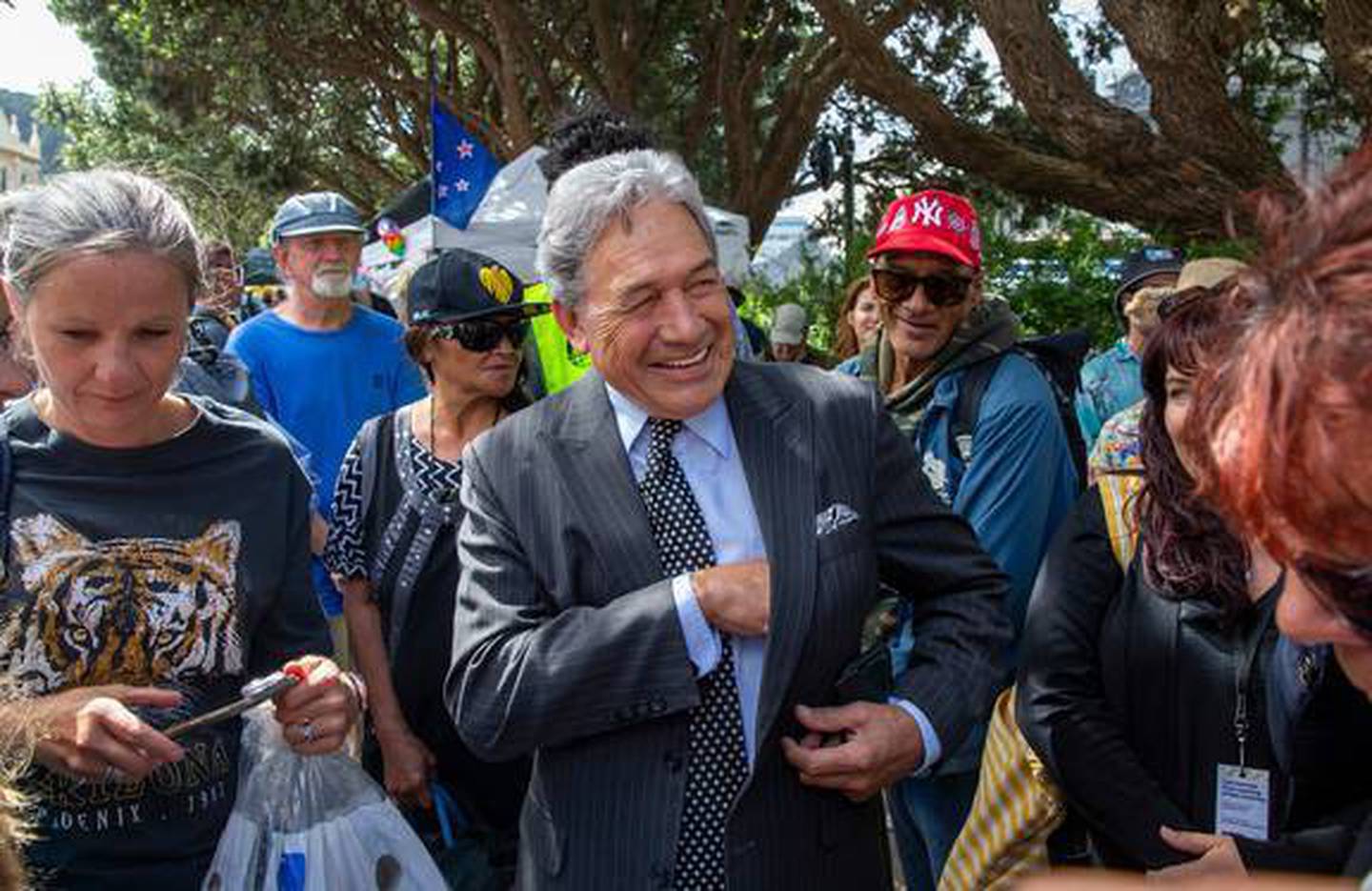 Winston Peters at the Parliamentary protest earlier this year. Photo: NZ Herald/file