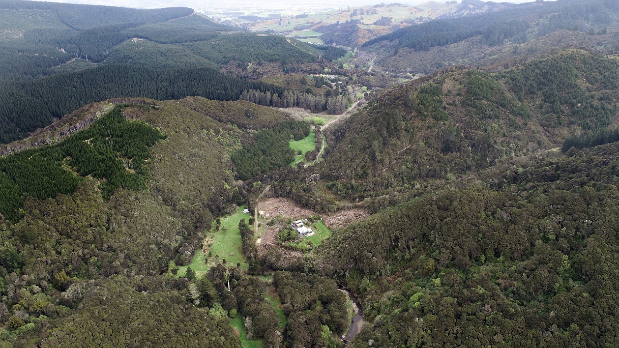 Native bush felled near a home above the Silverstream in North Taieri. Photo: Stephen Jaquiery