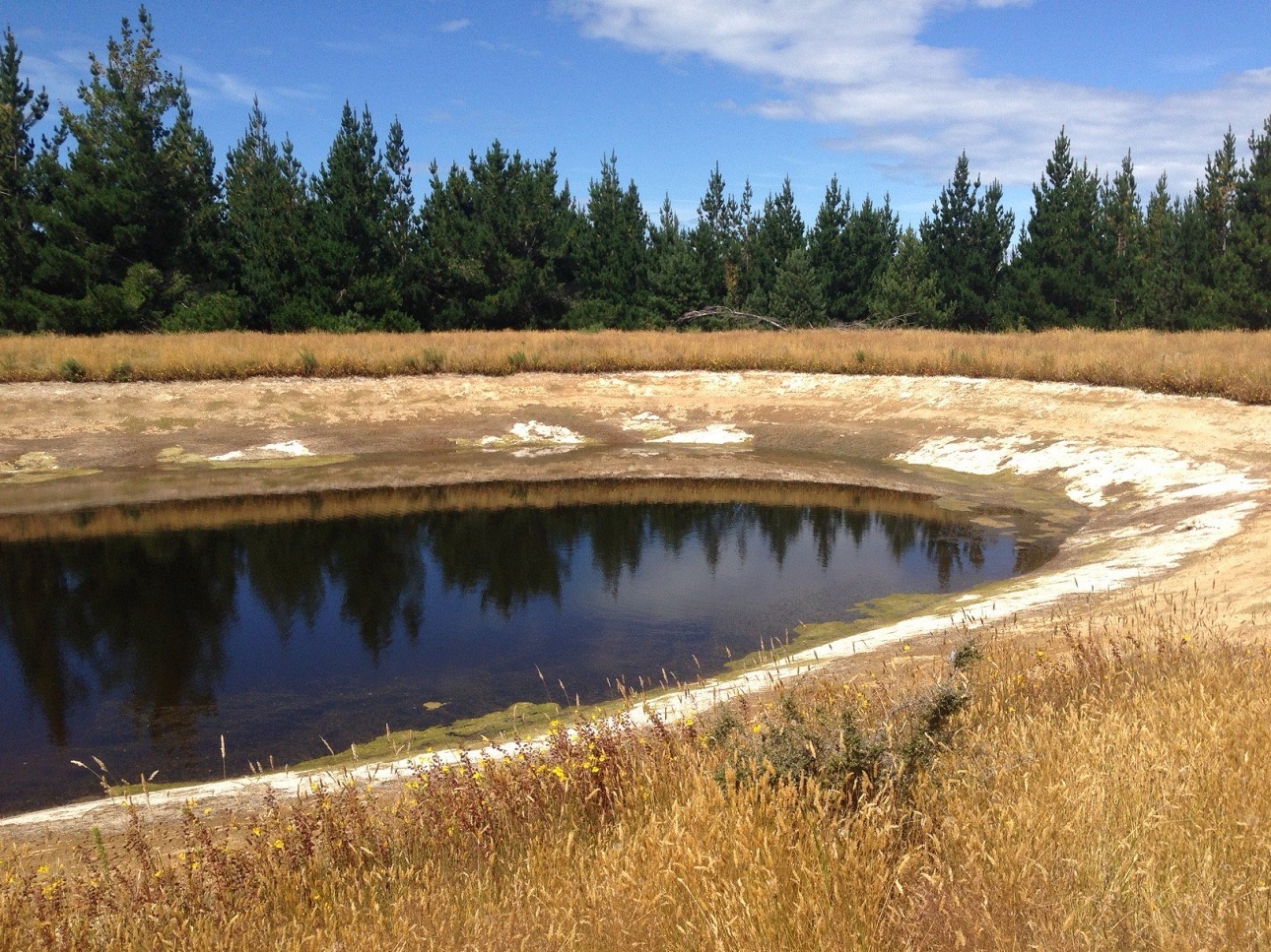 The reservoir on the North Bruce Rural Water Scheme. Photo: Clutha District Council