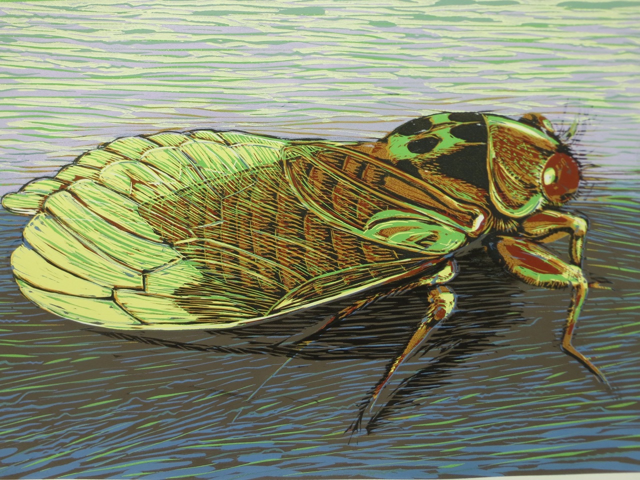 Marion Merten’s Cicada print that appears in Proof. Photo: Supplied