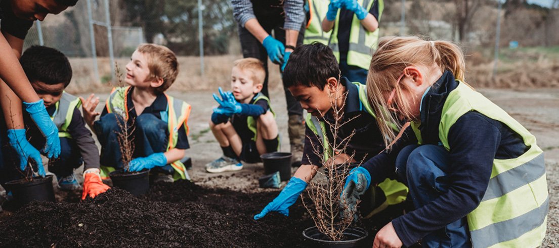 Waitaki Valley School pupils are learning to select and propagate plants native to their area....