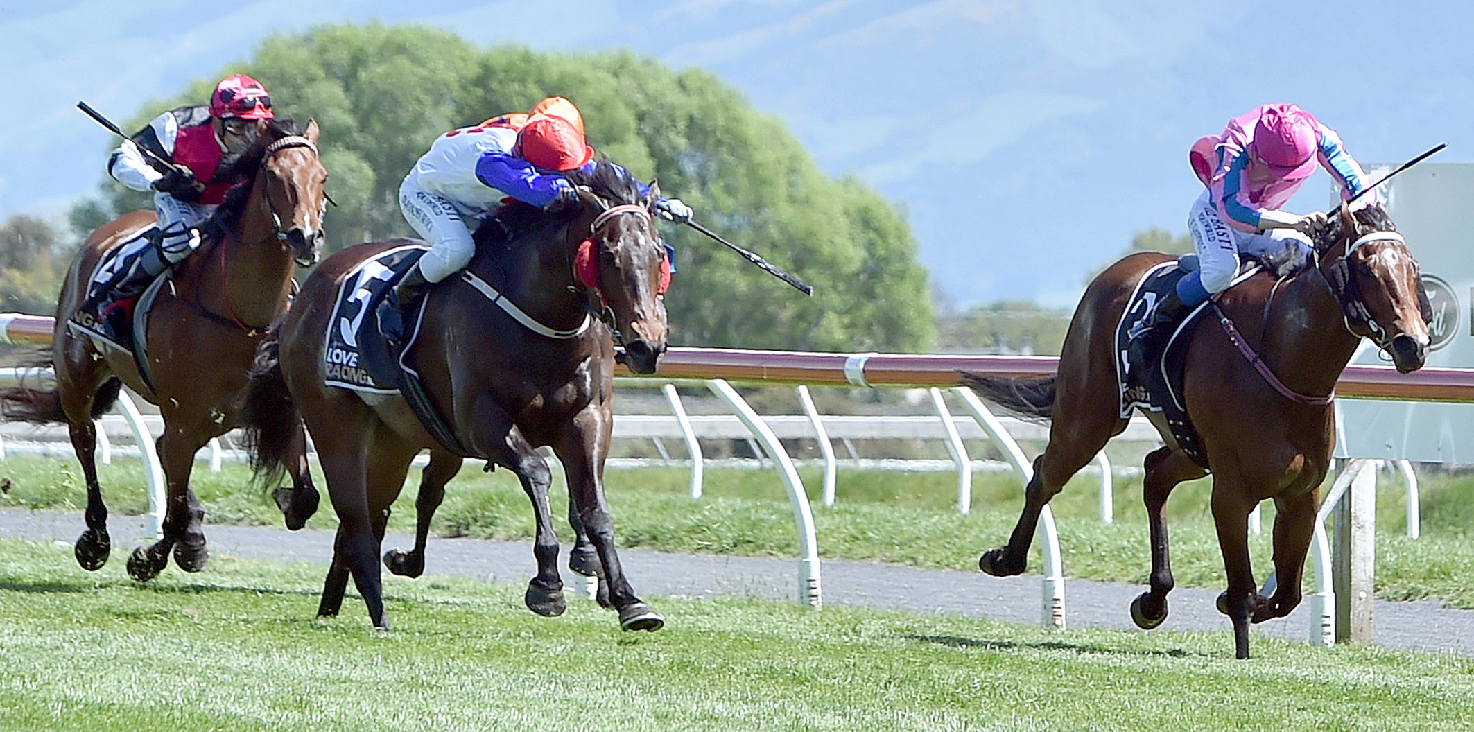 Exchange heads for the finish in the feature race at Wingatui yesterday. He held off the fast...