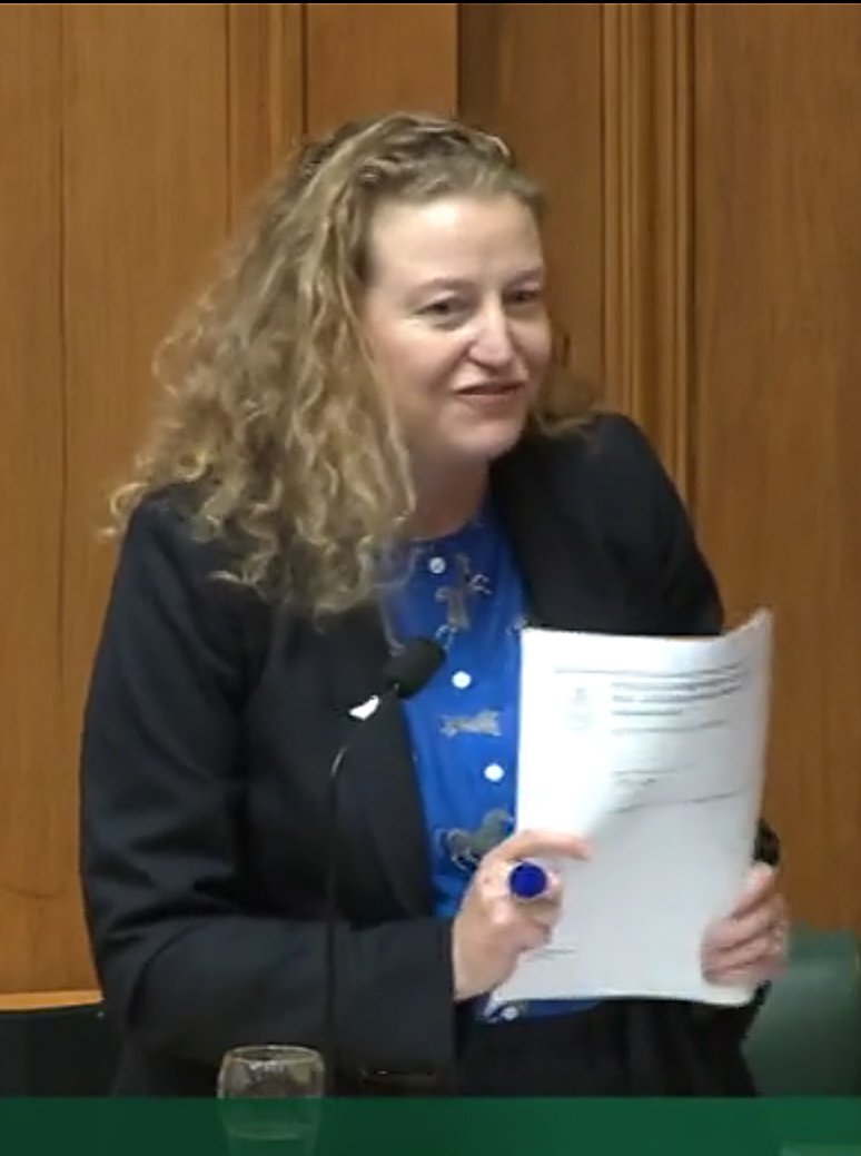 Dunedin Labour list MP Rachel Brooking with the first emissions budget. Photo: Parliament TV