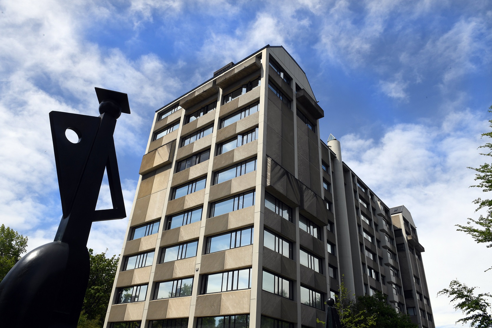 Window film has been removed from the Richardson Building following complaints by staff. Photo:...