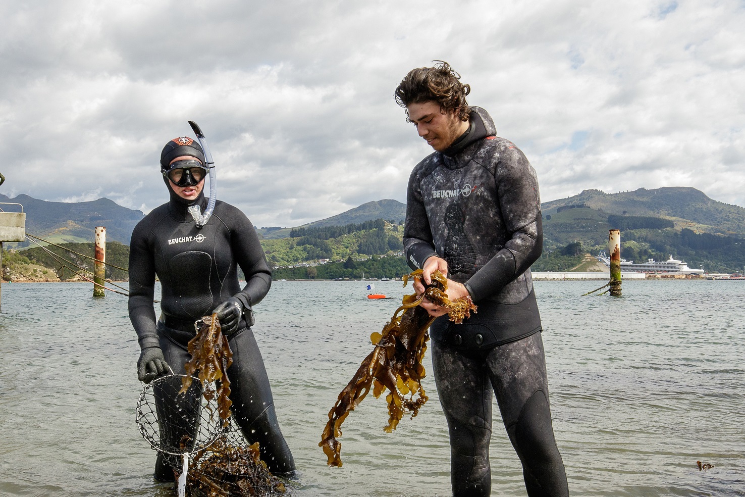 Clearing invasive seaweed from Otago Harbour this week are Jess Wenley (left) and Zayvia Parata,...