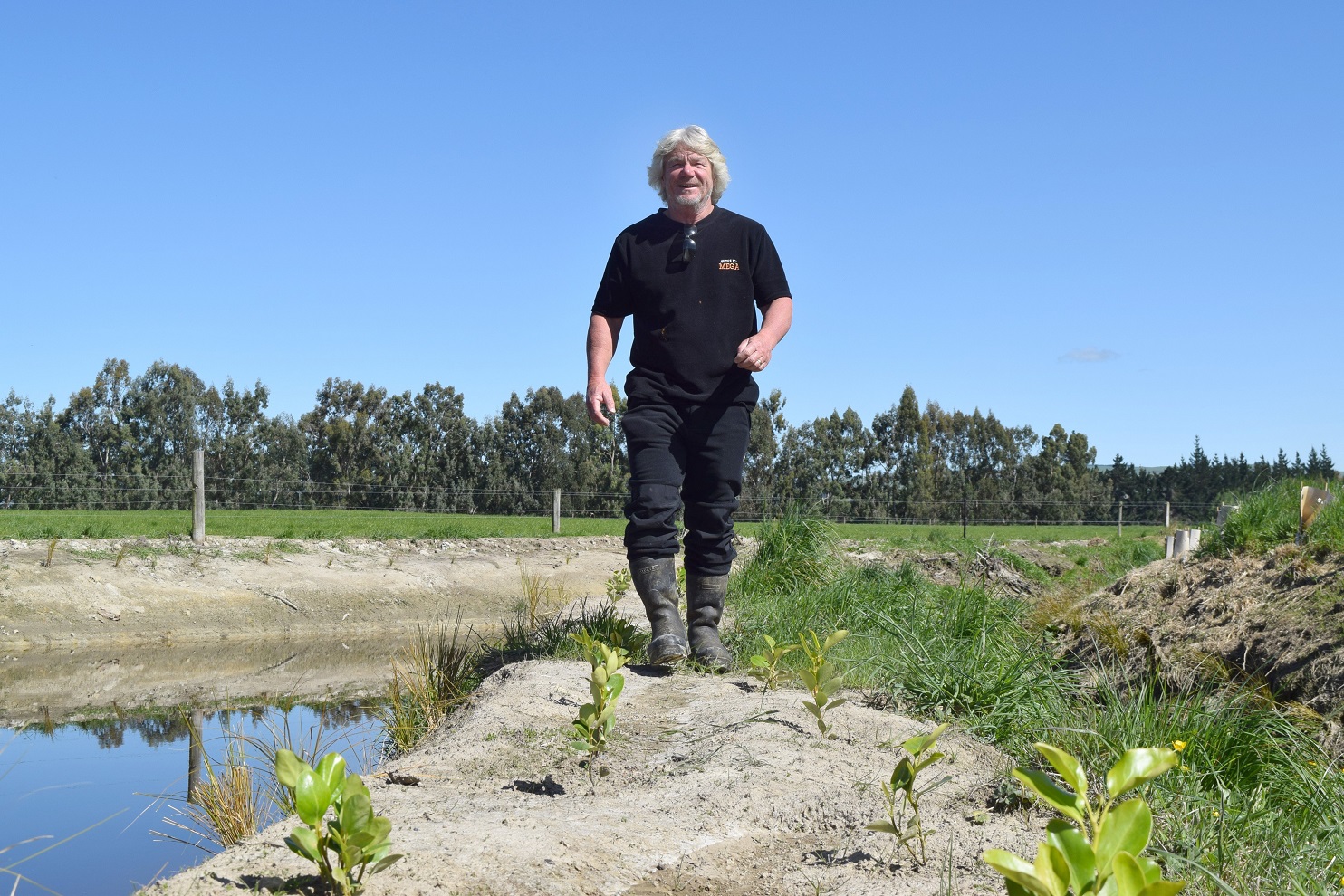 Mager Dairy owner Werner Marx walks among the riparian planting featuring in his freshwater...