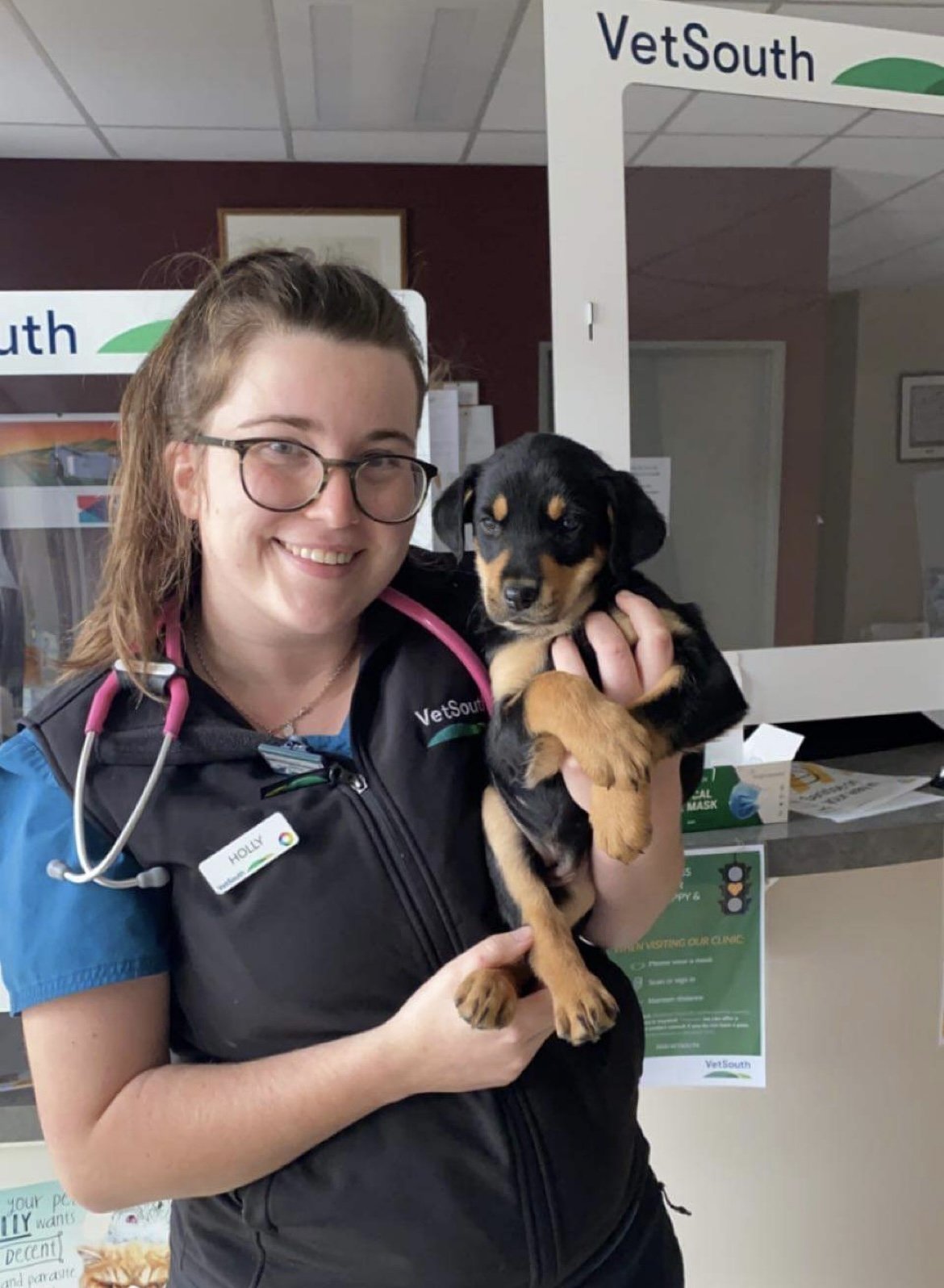 VetSouth veterinarian Holly Hender hugs a working dog pup in Gore. Photo: Supplied