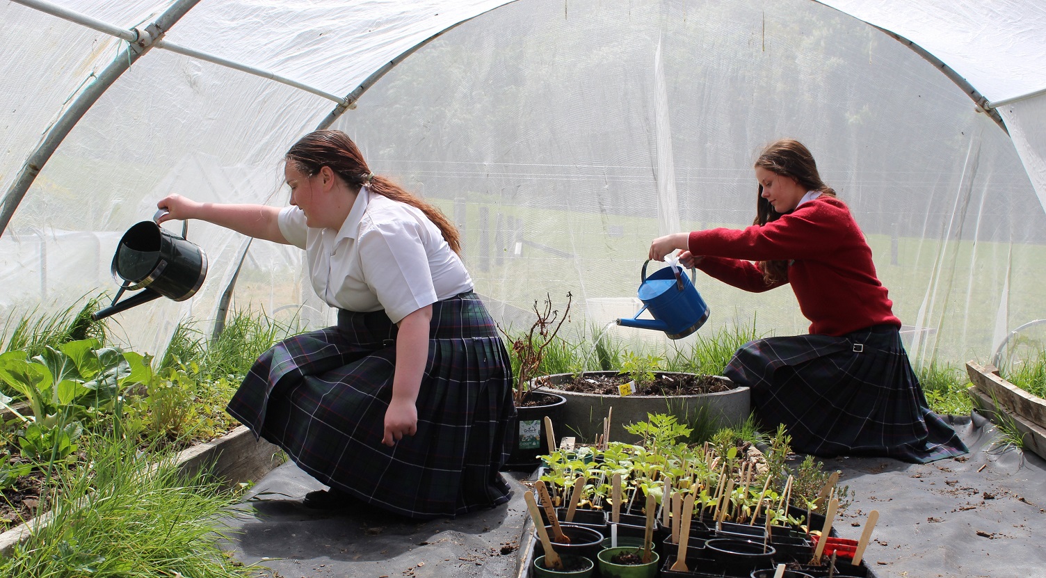 Kaikorai Valley College pupils Janelle Martin (left) and Grace Shemely (both 13) water plants in...