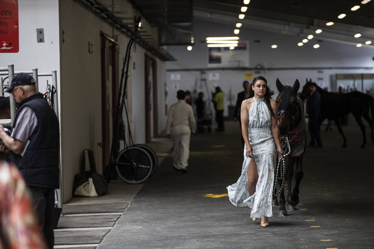 Under the stands at Addington Raceway. Photo: George Heard