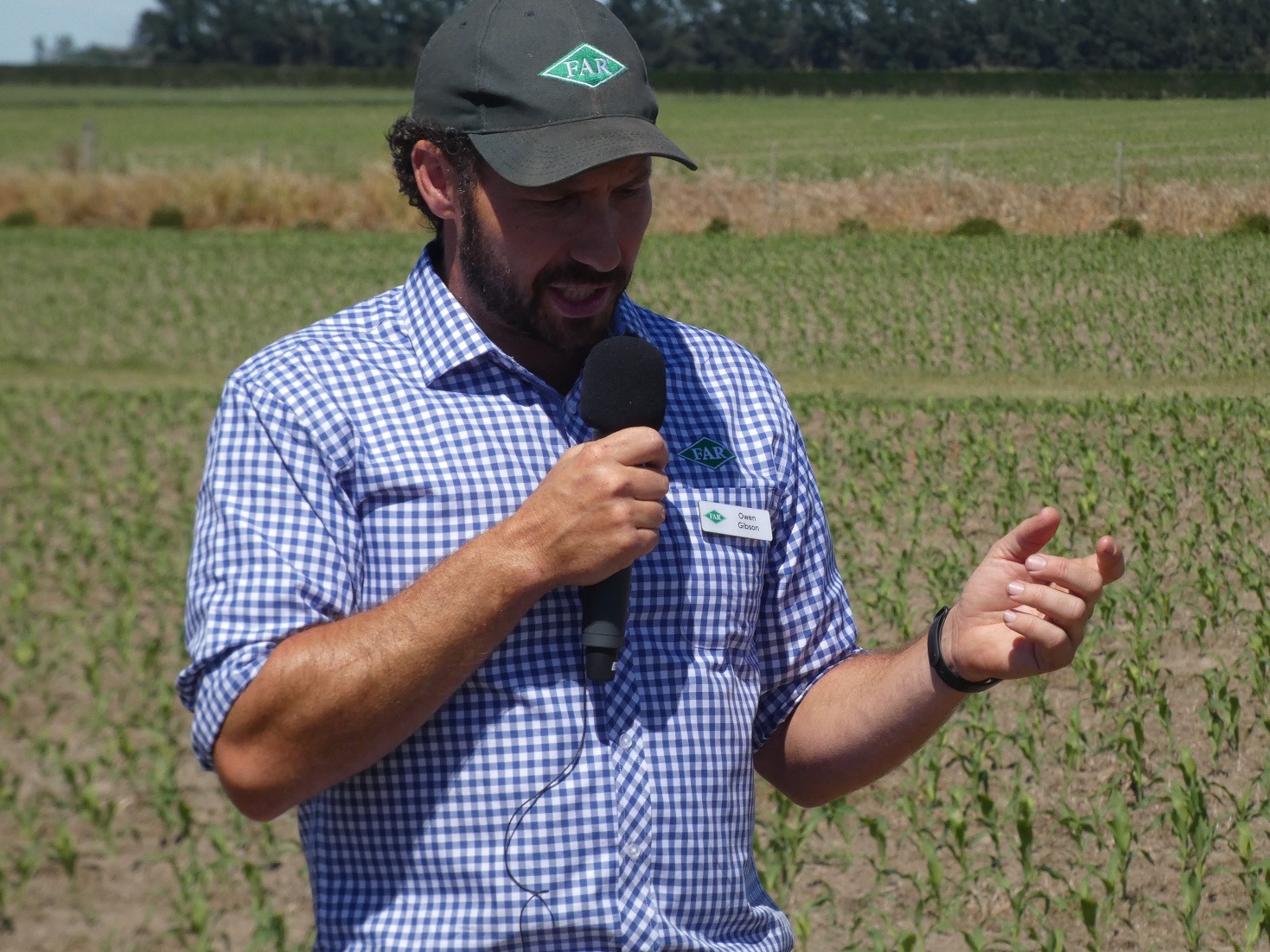 Foundation for Arable Research researcher Owen Gibson gives growers a glimpse of trial results in...