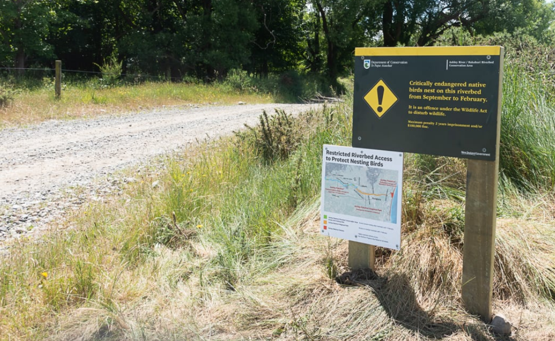 A DOC sign warning people of the endangered birds can be seen near the river. Photo: Ashley...