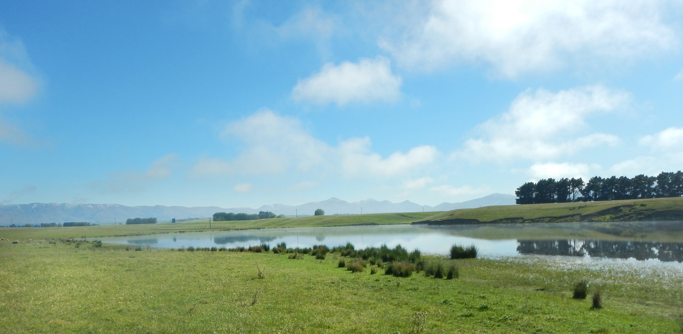 The author and his son fished at Rutherford’s dam this week. Photo: ODT Files/Mike Weddell