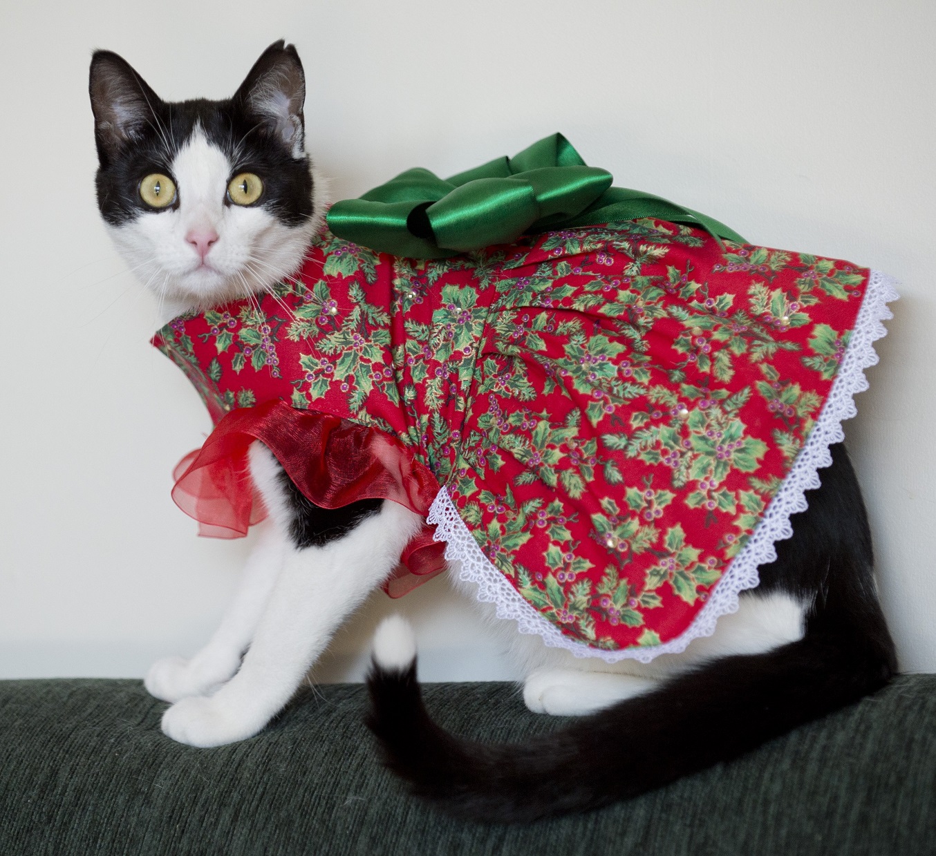 Brie shows off one of her specially designed outfits for the festive season.