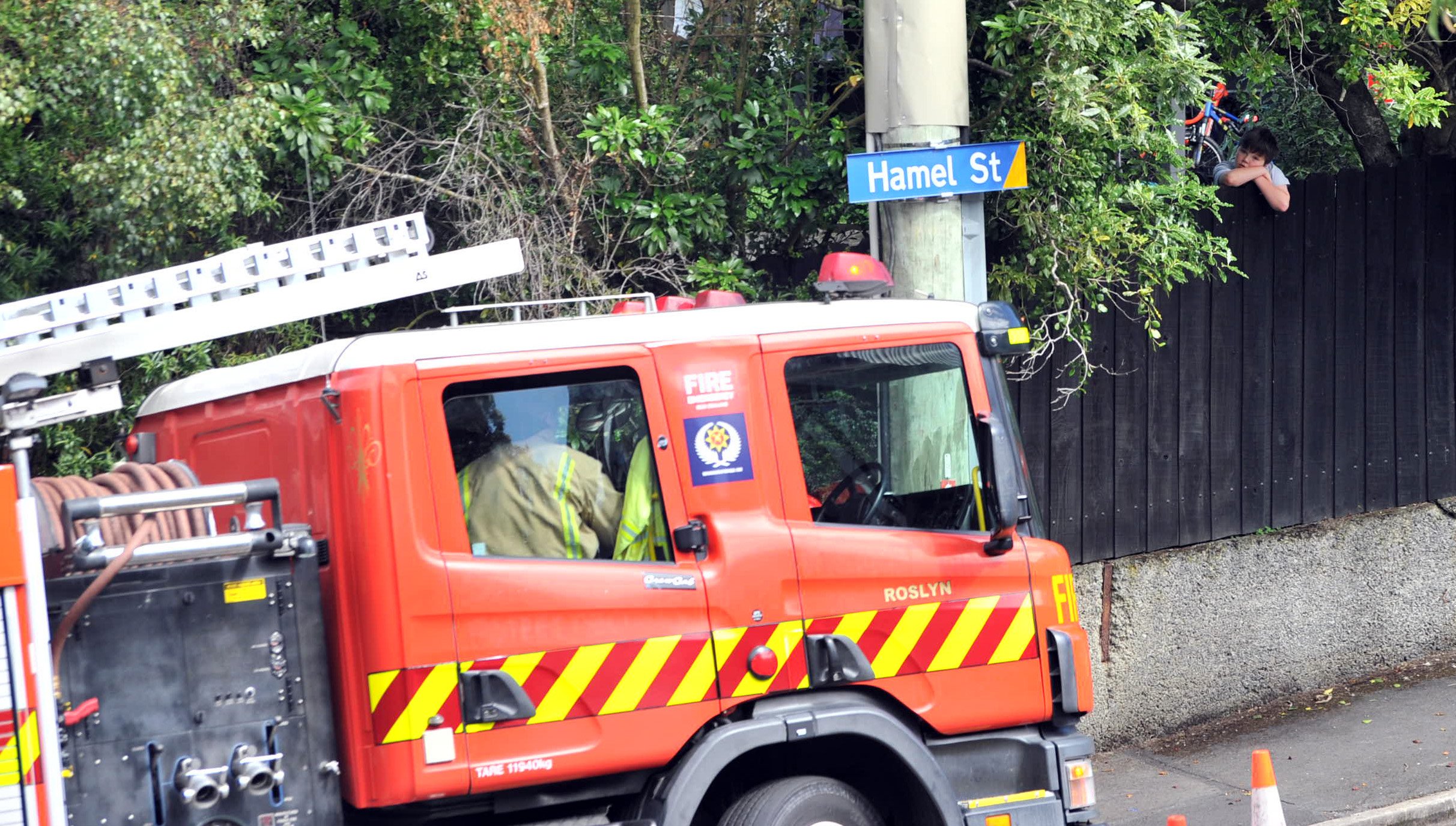 Firefighters were called to extinguish a tree fire in Newington Ave. Photo: Christine O'Connor