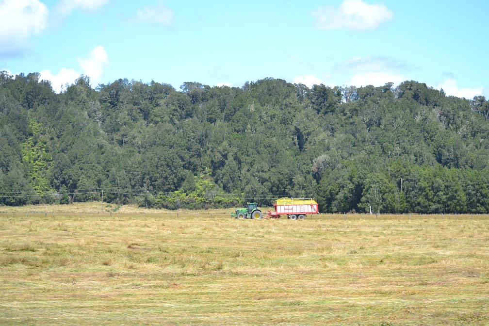 The area had had a month of fine weather before the storm hit today.