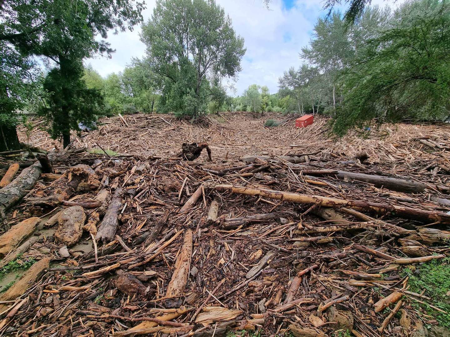 The Mangatokerau Bridge in Tolaga Bay is buried by forest debris. Photo: Miss-Kate Rochelle