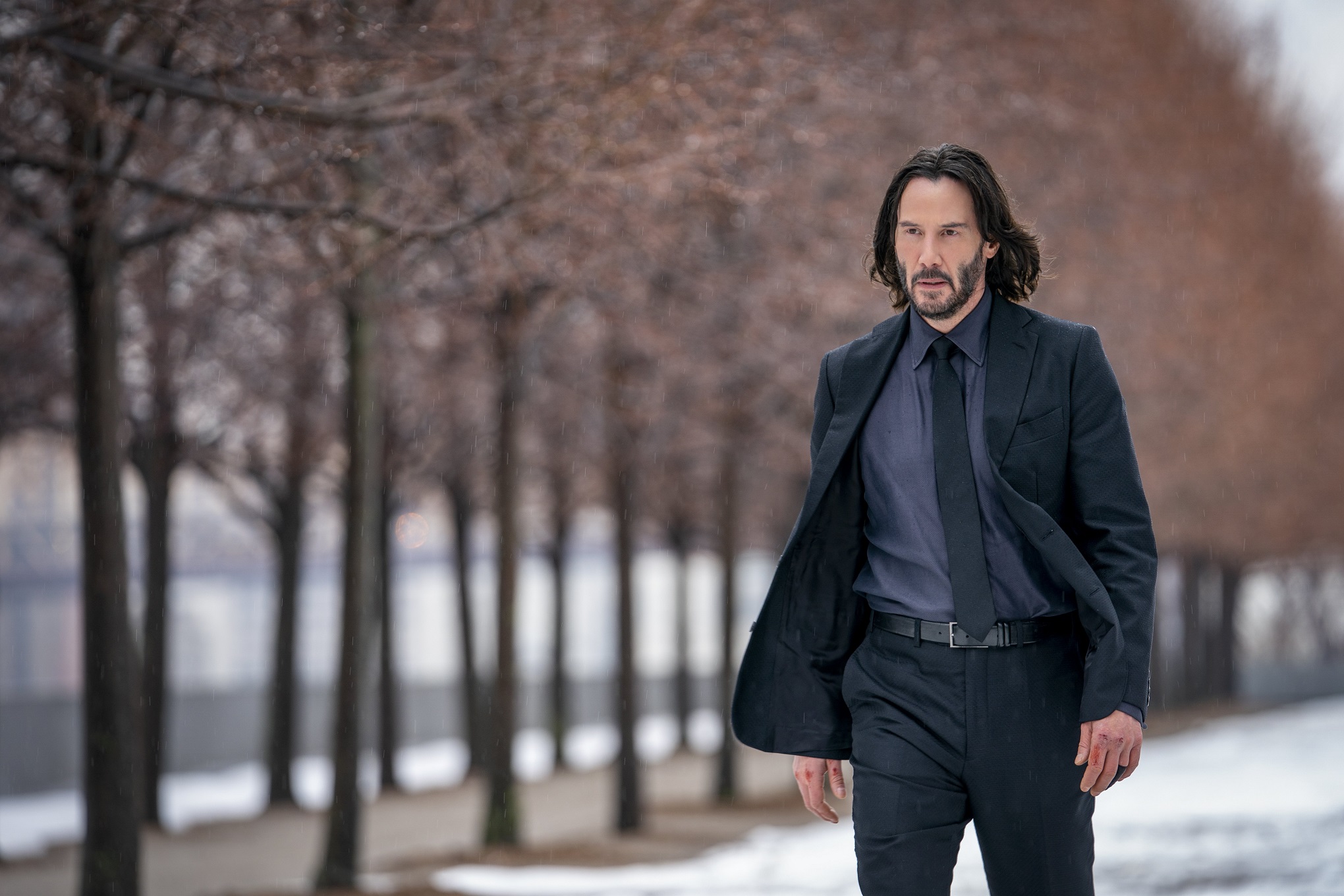 Winter movies 2023: Ant-Man, John Wick and Adonis Creed, back for more! –  Orlando Sentinel