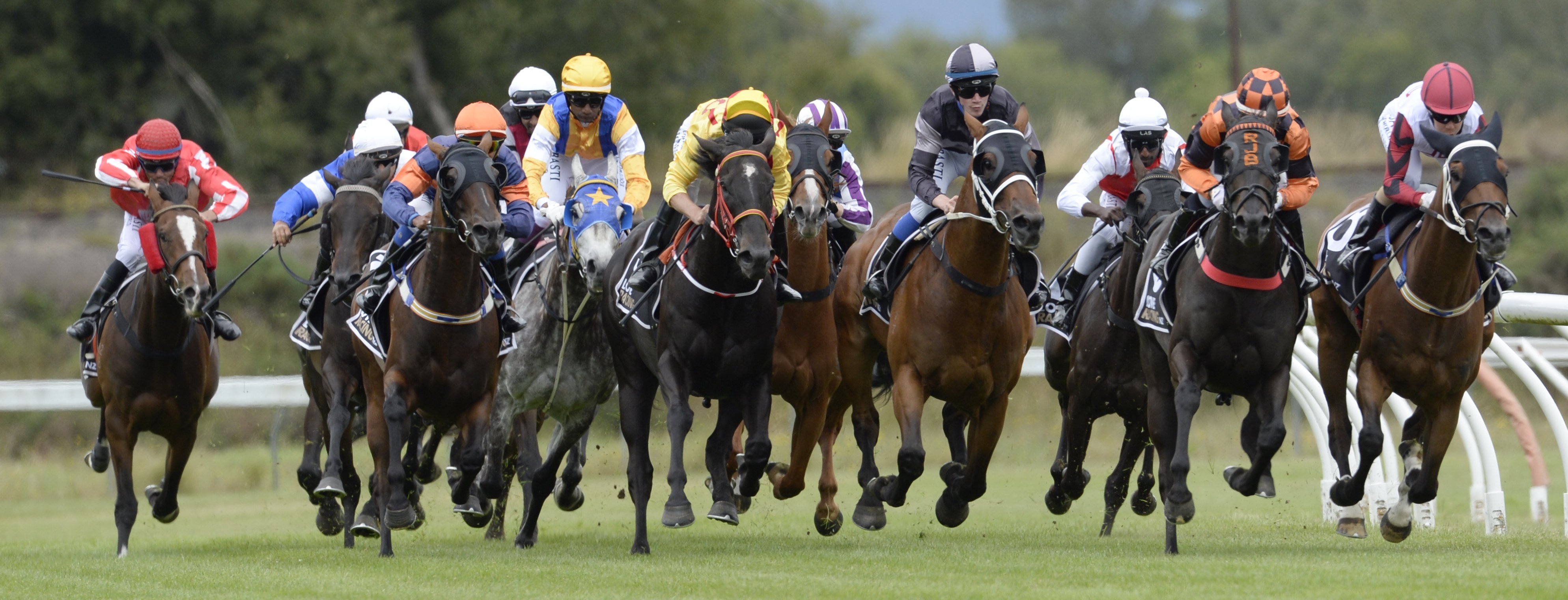 Action from race three at the Waikouaiti club’s meeting at Wingatui on Saturday. Eventual winner...