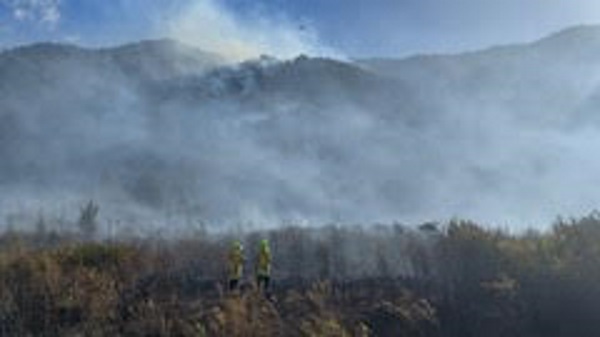 'Don't be an idiot': mayor's plea for fire starters to stop | Otago ...