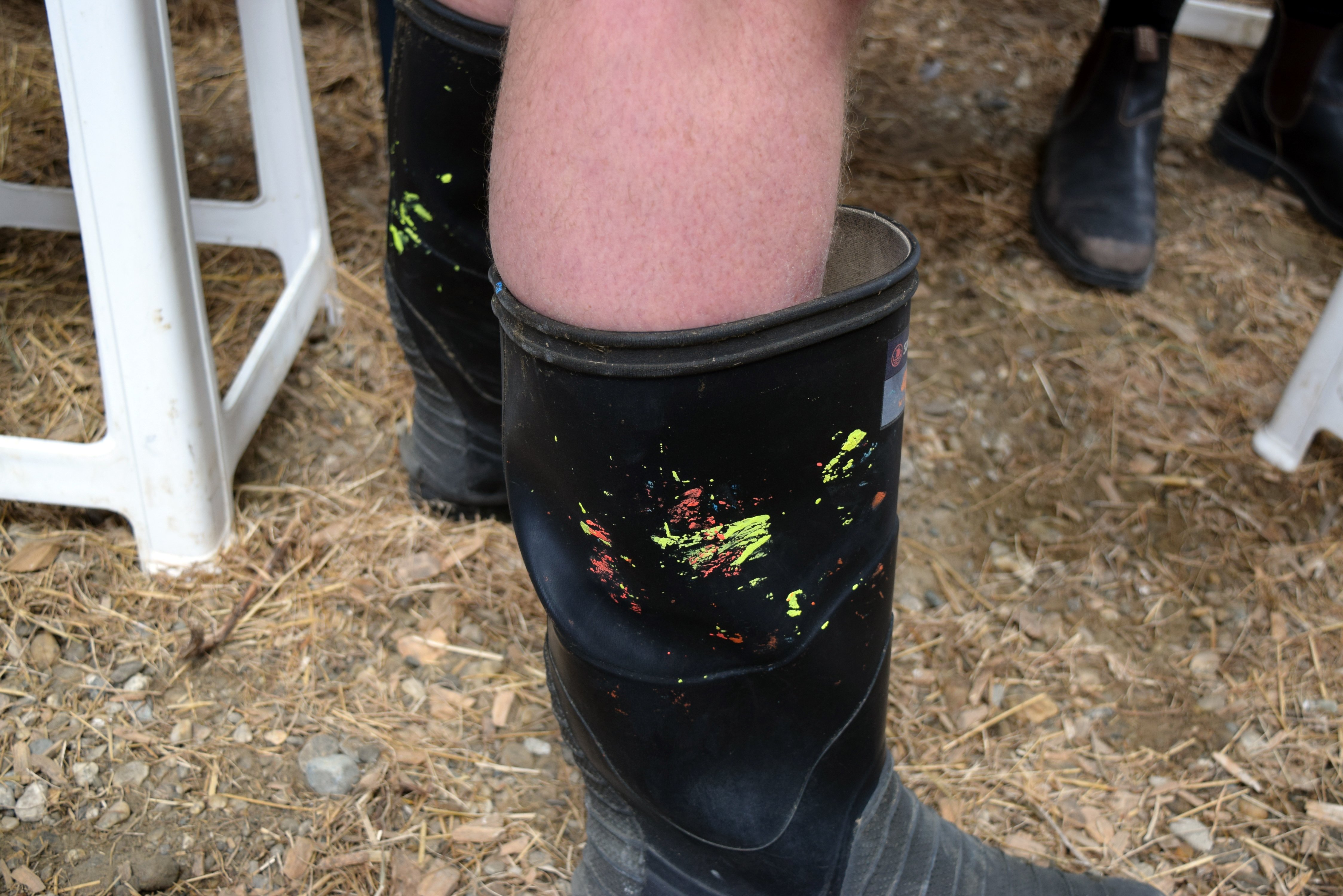 Paint-splattered gumboots from tail  painting cows at mating season.
