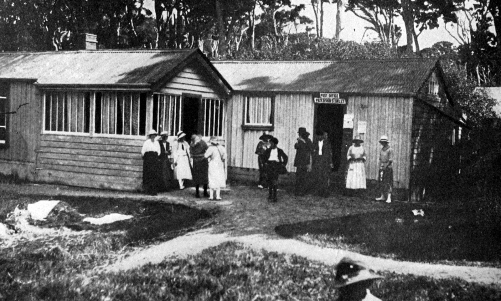 Reopening of the southernmost post office on Ulva Island, in Stewart Island’s Paterson’s Inlet. —...