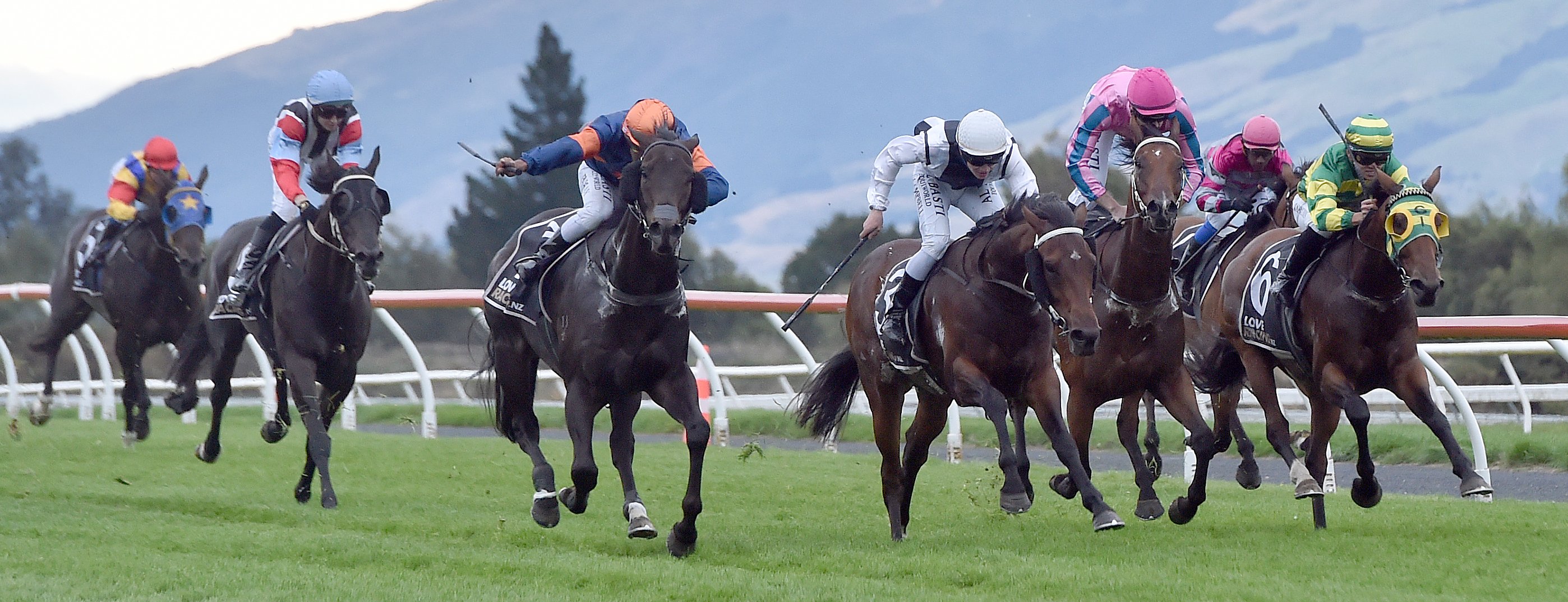 Gallopers approach the finishing post in the Publicans Cup at the dual-code meeting at Wingatui...