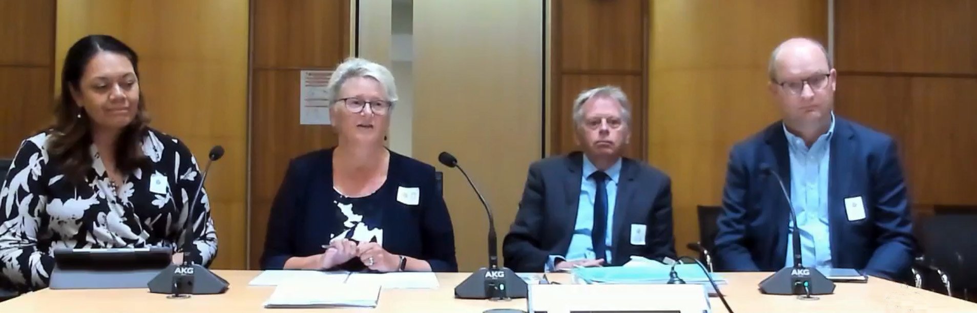 The Southern District Health Board at the health select committee, (from left) Te Whatu Ora...