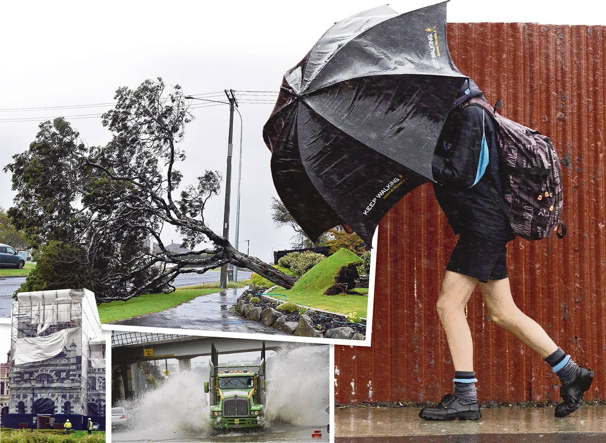 (Clockwise from top left) St Clair resident Marty Smith’s front yard tree was ripped up by severe...