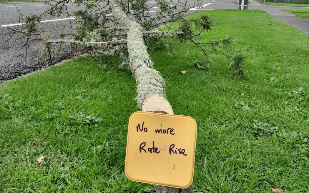 A disgruntled ratepayer cut down a tree in Stratford. Photo: Supplied